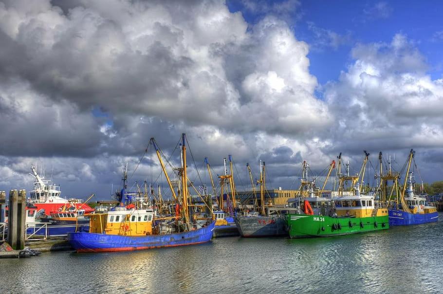 Vila Robbenoort 45 Lauwersoog Exteriér fotografie